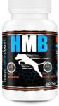 Game Dog HMB - supplements for dogs - 120 tablets