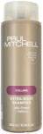 Paul Mitchell Volume Extra-Body Shampoo 300 ml