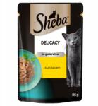 Sheba Delicacy 85g nedves macskaeledel csirke darabok zselében