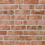 Roben Caramida Aparenta Moorbrand, lut multicolor, NF (240x71x14 mm) (ROB-CA-FORMBACK-L)