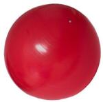  Popron. cz Relaxációs gimnasztikai labda 65 cm (8595043402154)