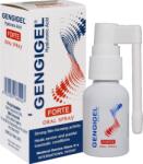 Ricer Farma Spray Gengigel Forte, 20 ml, Ricerfarma