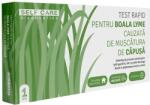 SELF CARE Test rapid boala Lyme, 1 bucata, Self Care - catenapascupas