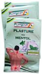 CATENA Plasture antireumatic cu mentol 12 cm x 18 cm Catena, 1 buc