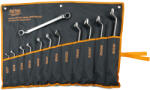 Profi Tools Set de chei stea 12 buc