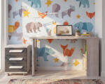 TRS-SPAIN Mety Cascina Wave Shade gyermek íróasztal tárolóval (TRS00106-2026)