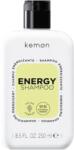 Kemon Liding Energy Shampoo енергизиращ шампоан за слаба коса 250 мл