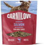 CARNILOVE Dog Crunchy Snack Salmon & Blueberries 200 g