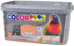 Kittfort Colorline® тонирана интериорна боя за стени и тавани 4КГ КАНЕЛА (8633839839-К)