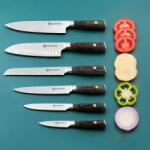 Carl Schmidt Sohn Set 6 cutite Apex, otel german