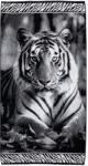 Strandex Kft ANIMAL Tigris Strandtörölköző 165x90cm (5901234123488)