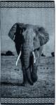 Strandex Kft ANIMAL Elefánt Strandtörölköző 165x90cm (5901234123464)