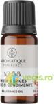 AROMATIQUE Ulei Aromat de Mosc si Condimente Nr. 58 10ml
