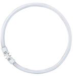 OSRAM Tub Neon Fluorescent Circular Osram FC / TL5C 40W/840 2GX13 3300Lm 4000K Lumina Alba Naturala Clasa Energetica G (O0528526)