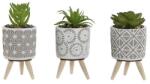  Csodálatos zöld növény szürke cement kaspóban - 11cm (JA-210209)