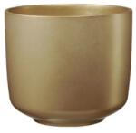  Elegáns arany kaspó modern otthonokba 13 cm (192605)