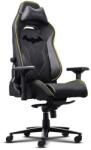 Trust Scaun gaming Trust GXT 721BM Ruya Pro, teherbiran 150kg, cu suport pentru spate, brate ajustabile, Negru (TR-25787)