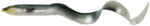 Savage Gear Swimbait Savage Gear 3D Real Eel Loose Body 15cm 12G Green Silver 3buc (F1.SG.63773)
