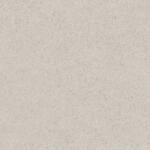 PAMESA CERAMICA 60x60 LIN GRIS (0178400023638)