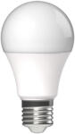 Avide Smart LED globe A60 9W RGB+W Wifi app control