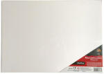 Pigna Panza pentru pictura pe sasiu 50 x 70 cm sf art pigna (MCPPL50X70) Panza pictura