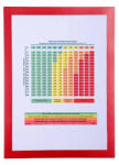 Exacompta Folie magnetica A4 margine rosie EXACOMPTA (EX39203E)