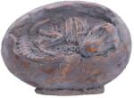 Nemesis Now Statuetă Nemesis Now Adult: Dinosaurs - Tyrannosaurus Rex Egg, 13.3 cm (D7555B26) Figurina