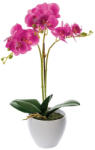 AdTrend Orhidee roz fucsia in ghiveci 14 x 50 cm (71148A)