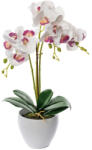 AdTrend Orhidee roz alb in ghiveci 14 x 50 cm (71148C)