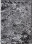 Mira Covor Mira 24137-162, Marime 100 x 200 cm, Gri, Inaltime Fir 6 mm, Antialergic, Polipropilena, Living, Dormitor, Sufragerie, Birou Covor