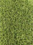Jakarta Gazon Artificial Jakarta, Inaltime Fir 20 mm, Latime 2m, Marime 200 x 2000 cm, Verde cu Insertii Fire Iarba Uscata, Polipropilena, Antialergic, Curte, Terasa, Piscina, Loc de Joaca, Gradinita, Cresa