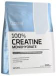  Creatine Monohydrate 300g OstroVit Mango (01ostrovit-mango)