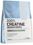  Creatine Monohydrate 500g OstroVit Mango (02ostrovit-mango)