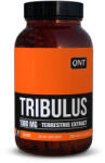QNT Tribulus 60 capsule QNT (1004)