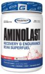 Gaspari Nutrition Aminolast 390g Gaspari Nutrition Fruit Punch (18gaspari-fruit-punch)