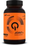 QNT JOINT + 60 Capsule QNT (949)