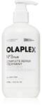 OLAPLEX N°3 PLUS Complete Repair Treatment tratament de reinnoire pentru par deteriorat 370 ml