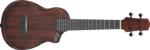 Ibanez AUC14 Violin Sunburst