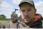 SONUBAITS Spicy Sausage Halibut Pellets 8mm/900g