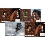 T-Creativ Lovas füzetborító - T-Creatív - 4x5 darabos (TC26-N12069THO-906378)