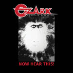 The Ozark Mountain Daredevils - Now Hear This! (Reissue) (LP) (0760137180869)