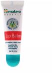 Himalaya Lip Balm Himalaya védő ajakbalzsam 10g (292)