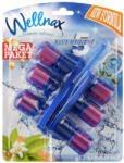 Wellnax WC-Frissítő Block 3x50 g Naracs virág (8694732009961)