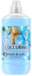 Coccolino öblítőkoncentrátum 1, 45 l Blue Splash (8720181410611)