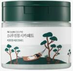 ROUND LAB Pine Calming Cica Pad, 50 db