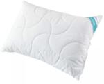 Inter-widex Standard párna Senna Home ANTI STRESS, 40x60cm, fehér, 400g (SHASPCC40x60B400g)