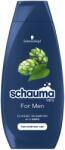 Schauma For Men hajsampon komló kivonattal 400 ml (3838824086675)