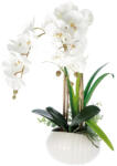 AdTrend Orhidee artificiala alba in ghiveci 16, 5 x 46 cm (74898A)