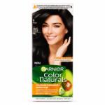 Garnier vopsea pentru par color naturals nr. 1 negru
