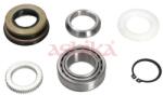 ASHIKA Set rulment roata ASHIKA 44-21043 (44-21043) - fixbox